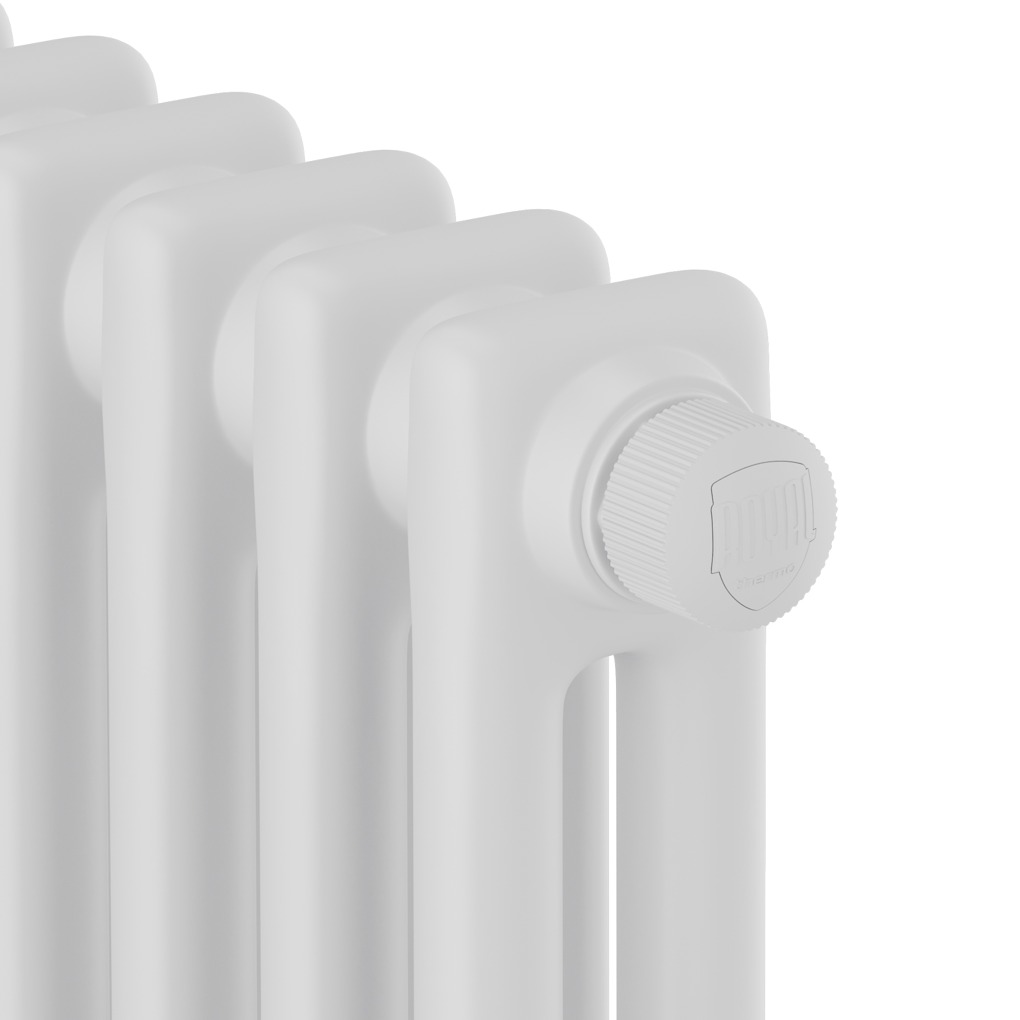 ns_1631216_00162 (1)