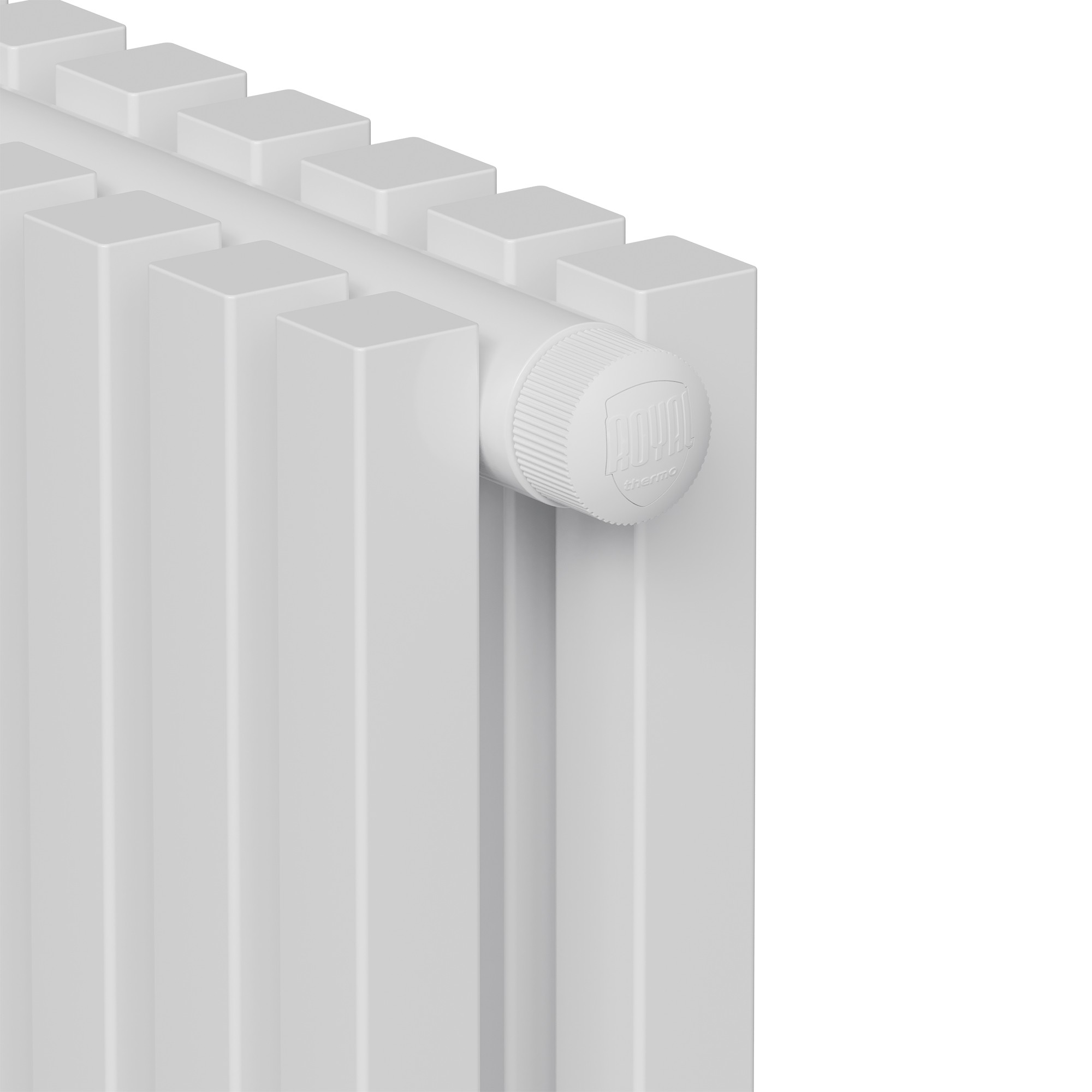 ns_1631268_00162 (1)