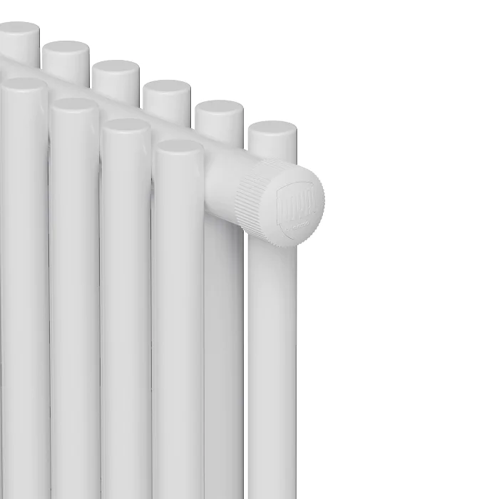 ns_1631310_00164.jpg (1)